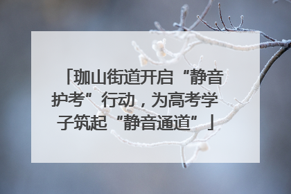 珈山街道开启“静音护考”行动，为高考学子筑起“静音通道”