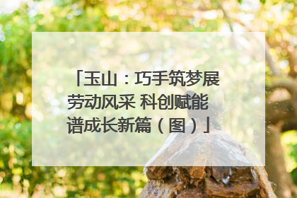 玉山：巧手筑梦展劳动风采 科创赋能谱成长新篇（图）