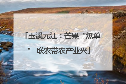 玉溪元江：芒果“爆单” 联农带农产业兴