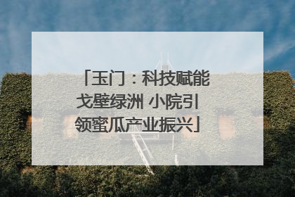 玉门：科技赋能戈壁绿洲 小院引领蜜瓜产业振兴