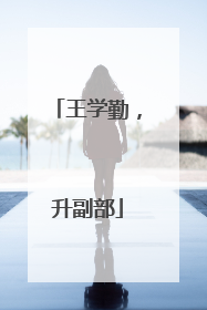 王学勤，升副部