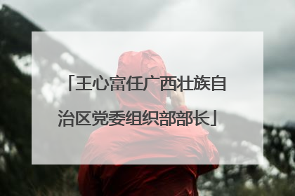 王心富任广西壮族自治区党委组织部部长