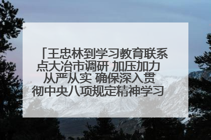 王忠林到学习教育联系点大冶市调研 加压加力 从严从实 确保深入贯彻中央八项规定精神学习教育取得实效