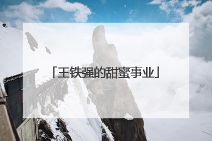 王铁强的甜蜜事业
