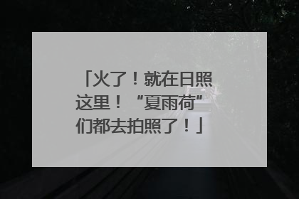火了！就在日照这里！“夏雨荷”们都去拍照了！