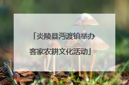 炎陵县沔渡镇举办客家农耕文化活动