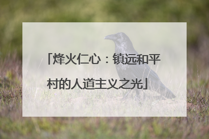 烽火仁心：镇远和平村的人道主义之光