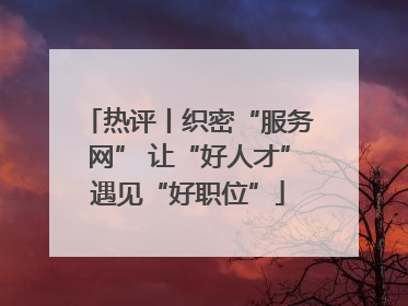 热评丨织密“服务网” 让“好人才”遇见“好职位”