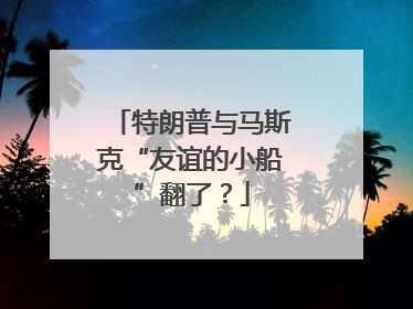 特朗普与马斯克“友谊的小船”翻了？