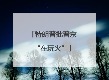 特朗普批普京“在玩火”