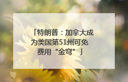 特朗普：加拿大成为美国第51州可免费用“金穹”