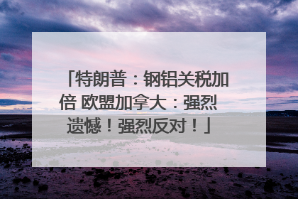 特朗普：钢铝关税加倍 欧盟加拿大：强烈遗憾！强烈反对！