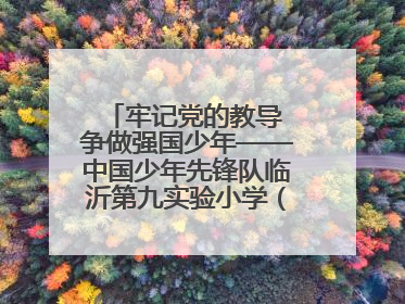 牢记党的教导 争做强国少年——中国少年先锋队临沂第九实验小学（北校区）第三次代表大会胜利召开