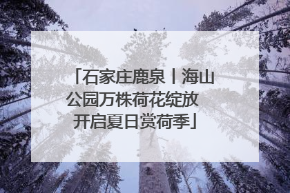 石家庄鹿泉丨海山公园万株荷花绽放 开启夏日赏荷季
