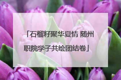 石榴籽聚华夏情 随州职院学子共绘团结卷