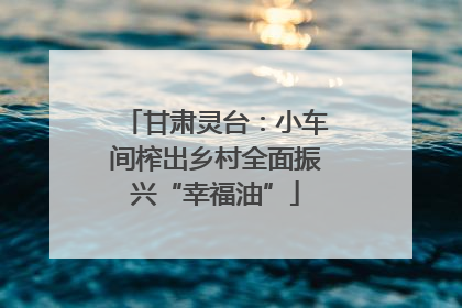 甘肃灵台：小车间榨出乡村全面振兴“幸福油”