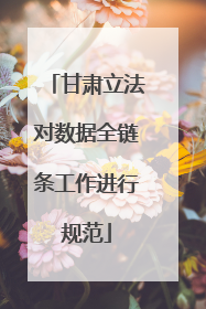 甘肃立法对数据全链条工作进行规范