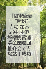 甜蜜盛宴 “圈粉”青岛 第六届中国·澄城樱桃营销季全国巡回推介会（青岛站）成功举办