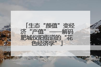 生态“颜值”变经济“产值”——解码肥城仪阳街道的“花色经济学”