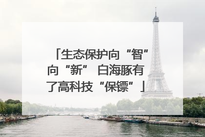 生态保护向“智”向“新” 白海豚有了高科技“保镖”