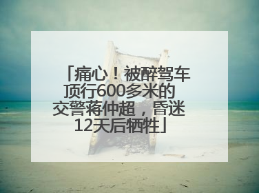 痛心！被醉驾车顶行600多米的交警蒋仲超，昏迷12天后牺牲