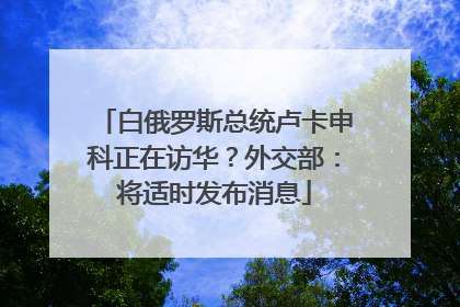 白俄罗斯总统卢卡申科正在访华？外交部：将适时发布消息