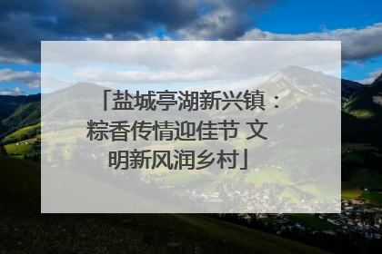 盐城亭湖新兴镇：粽香传情迎佳节 文明新风润乡村