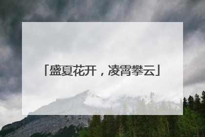 盛夏花开，凌霄攀云