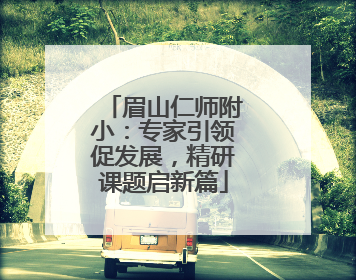 眉山仁师附小：专家引领促发展，精研课题启新篇