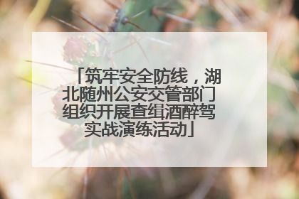 筑牢安全防线，湖北随州公安交管部门组织开展查缉酒醉驾实战演练活动