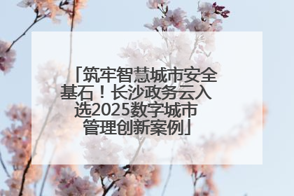 筑牢智慧城市安全基石!长沙政务云入选2025数字城市管理创新案例