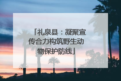 礼泉县：凝聚宣传合力构筑野生动物保护防线