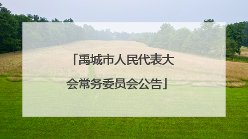 禹城市人民代表大会常务委员会公告