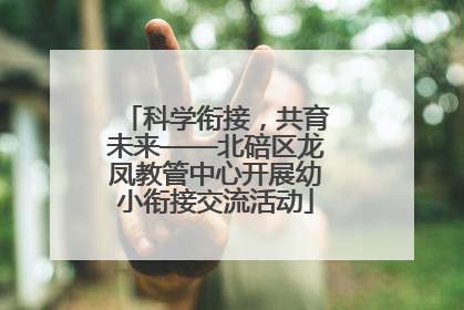 科学衔接，共育未来——北碚区龙凤教管中心开展幼小衔接交流活动