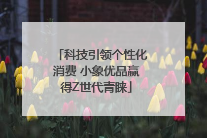 科技引领个性化消费 小象优品赢得Z世代青睐