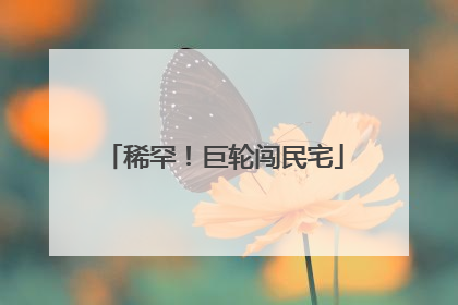 稀罕！巨轮闯民宅