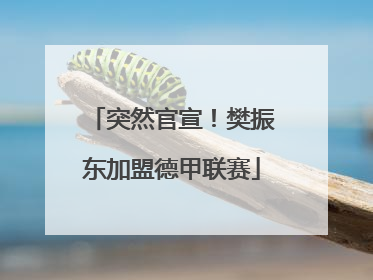 突然官宣！樊振东加盟德甲联赛