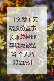突发！云路股份董事长兼总经理李晓雨被留置 个人持股21%