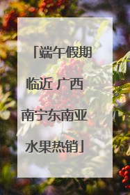 端午假期临近 广西南宁东南亚水果热销