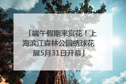 端午假期来赏花！上海滨江森林公园绣球花展5月31日开幕