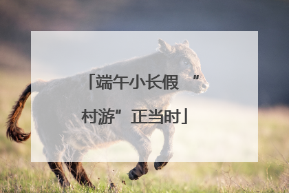 端午小长假 “村游”正当时