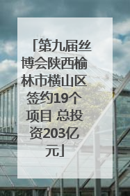 第九届丝博会陕西榆林市横山区签约19个项目 总投资203亿元