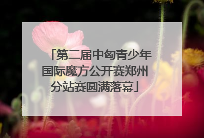 第二届中匈青少年国际魔方公开赛郑州分站赛圆满落幕