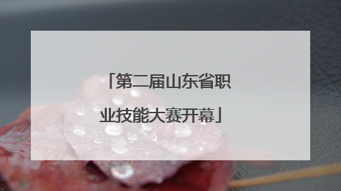 第二届山东省职业技能大赛开幕