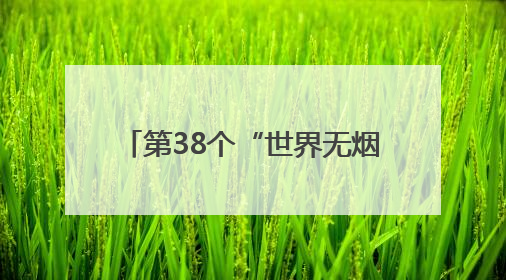 第38个“世界无烟日”：上海成人吸烟率下降至18.6%