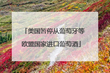 美国暂停从葡萄牙等欧盟国家进口葡萄酒