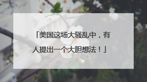 美国这场大骚乱中，有人提出一个大胆想法！