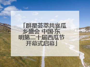群星荟萃共襄瓜乡盛会 中国·东明第二十届西瓜节开幕式启幕