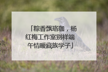 粽香飘珞珈，杨红梅工作室别样端午情暖藏族学子