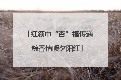 红领巾“杏”福传递 粽香情暖夕阳红